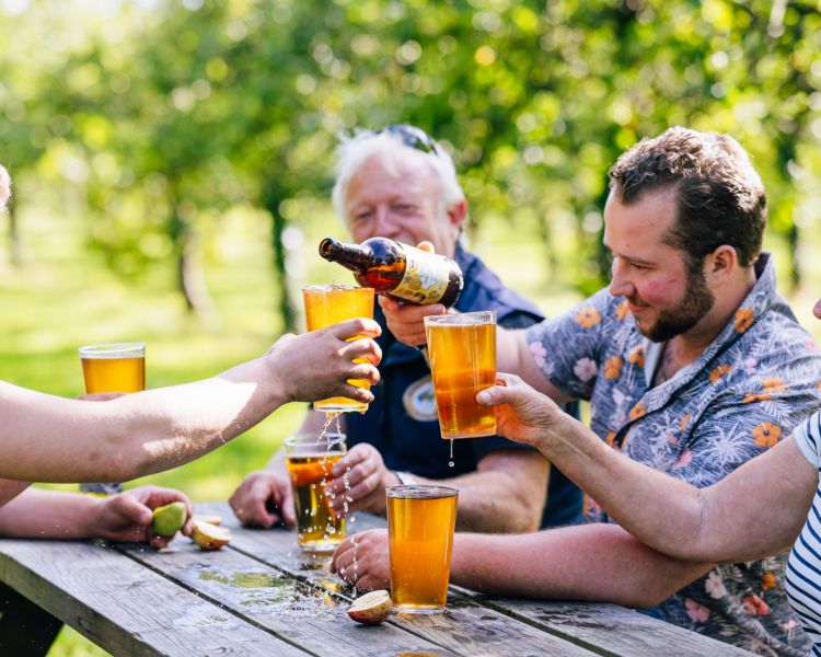 Dorset Nectar cider experience
