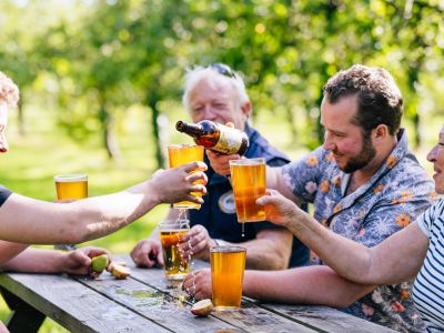 Dorset Nectar cider experience