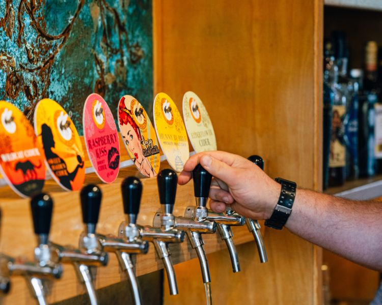 Dorset Nectar cider tasting