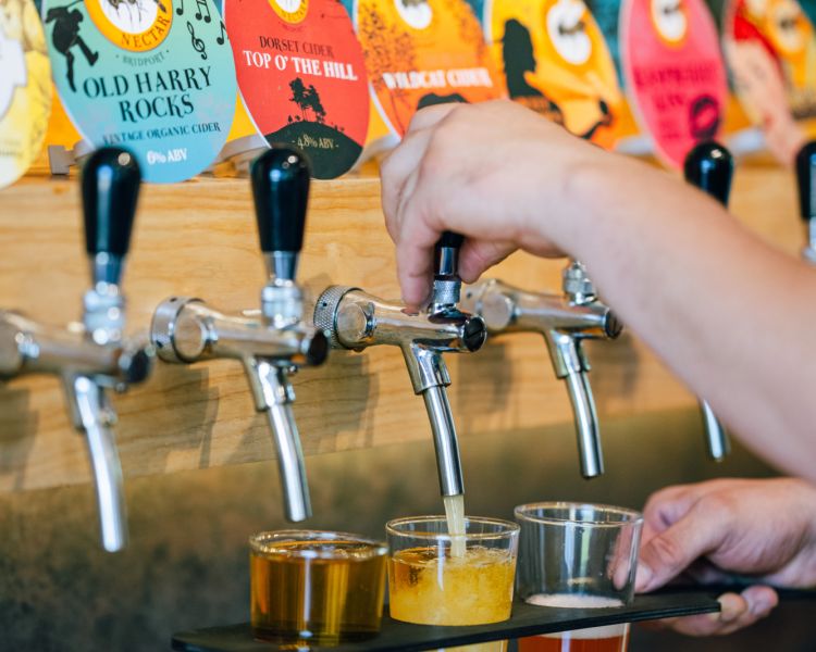 Dorset Nectar cider farm experience