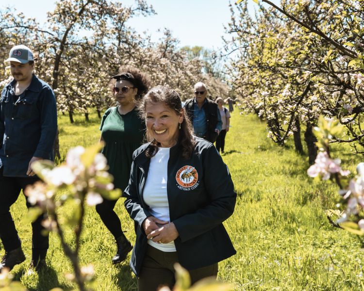 cider farm tour and tasting experience