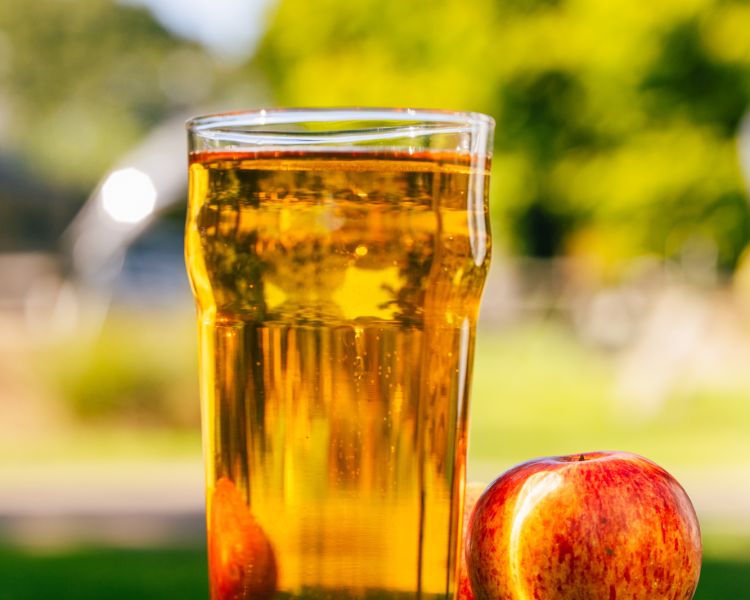 Dorset Nectar cider farm experience