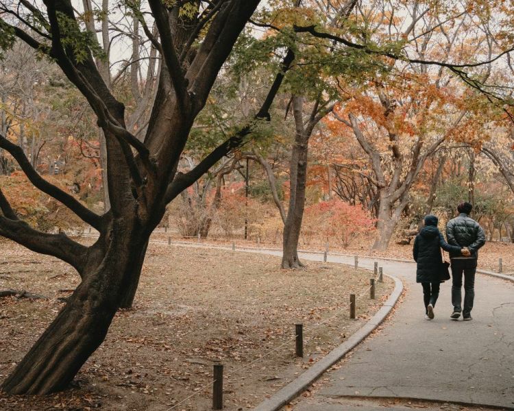 Couple in nature