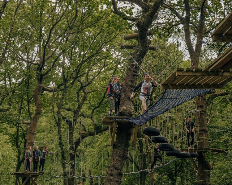 people on the zip world full trek manchester treetop obstacle course