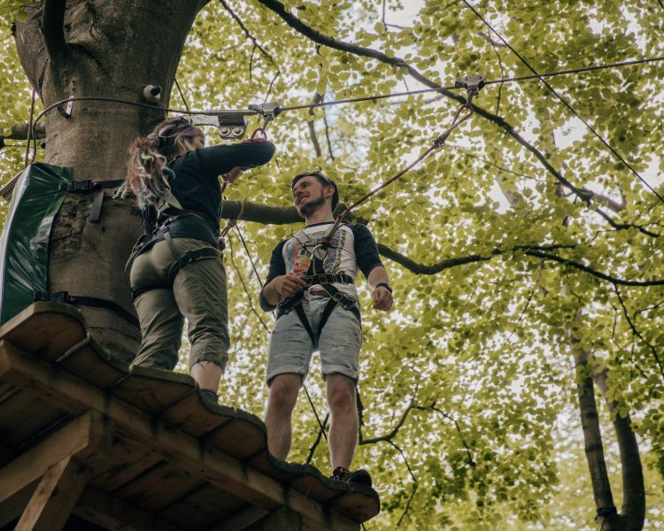 people on the zip world full trek manchester treetop obstacle course