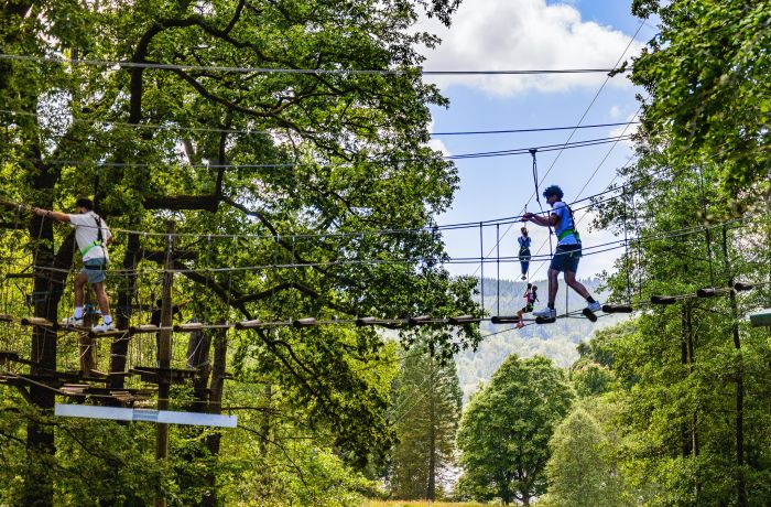 people on the zip world full trek manchester treetop obstacle course
