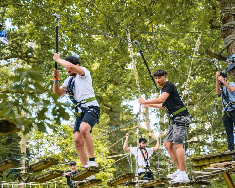 people on the zip world full trek manchester treetop obstacle course