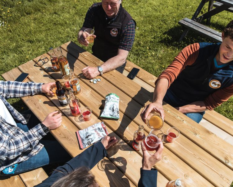 Cider tasting experience