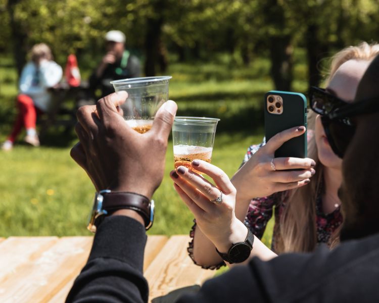 Cider tasting
