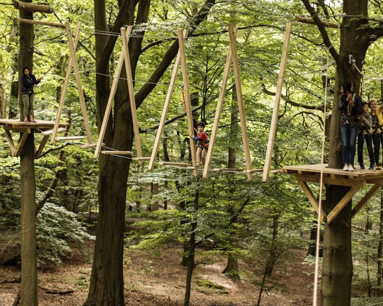 kids crossing a bridge on the zip world mini trek manchester course