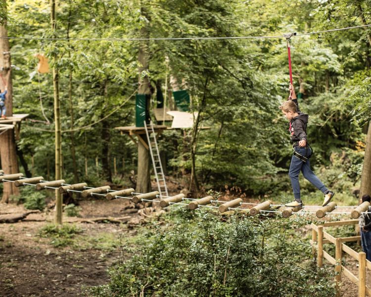 kids crossing obstacles on the zip world mini trek manchester course