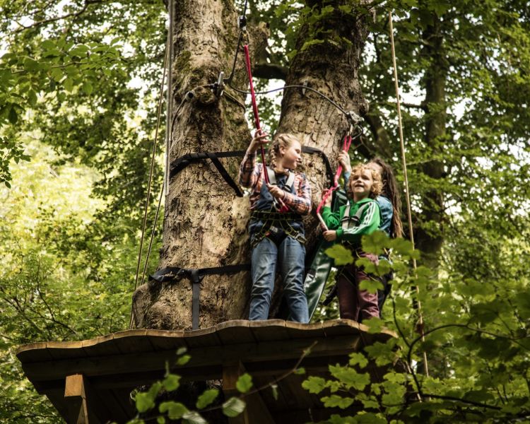kids waiting on a platform on the zip world mini trek manchester course