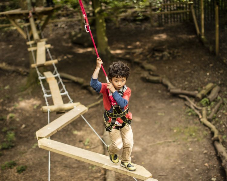 boy balancing on an obstacle on the zip world mini trek manchester course