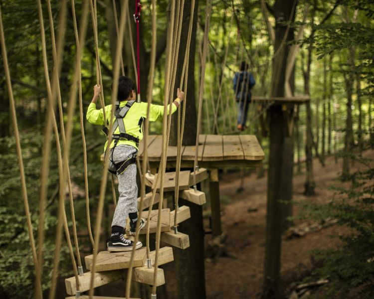 kids crossing a bridge on the zip world mini trek manchester course