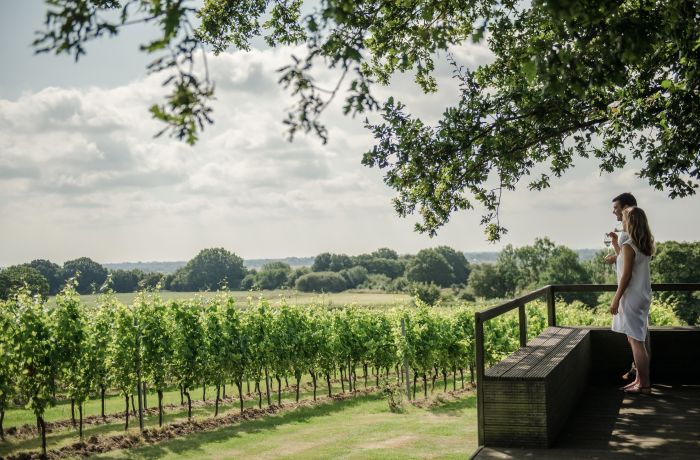 man and woman overlooking a vineyard in summer sunshine on a tour of gusbourne estate
