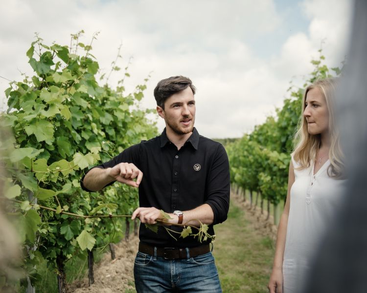 man giving a guided tour of a vineyard at gusbourne estate