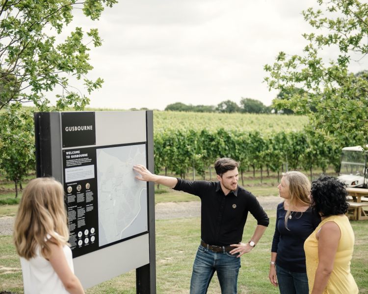 people being shown an information board outside on a tour of gusbourne estate