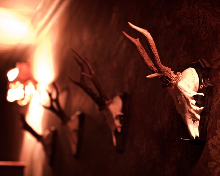 movie themed escape room experience