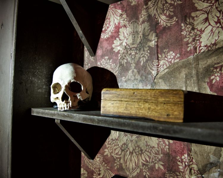 movie themed escape room experience