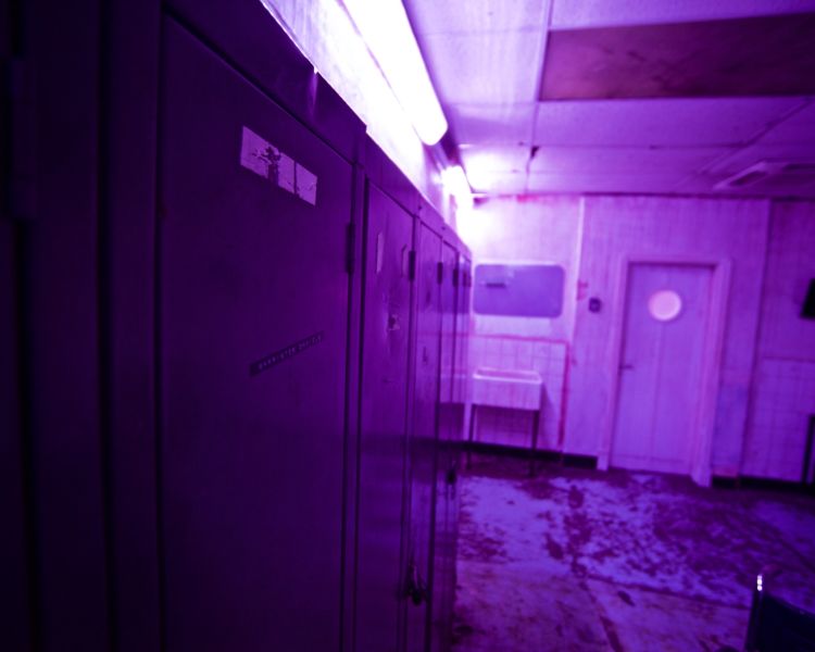 movie themed escape room experience