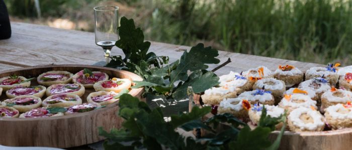 Foraged afternoon tea experience