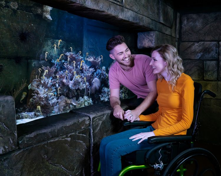a man and a woman looking into an aquarium at sea life london. the woman is in a wheelchair