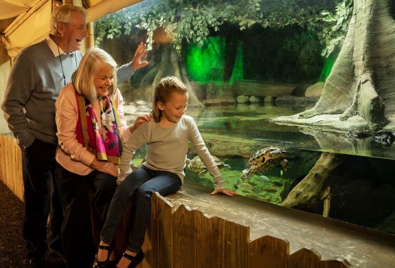 a man and a woman with a child looking at a turtle in an aquarium at sea life london