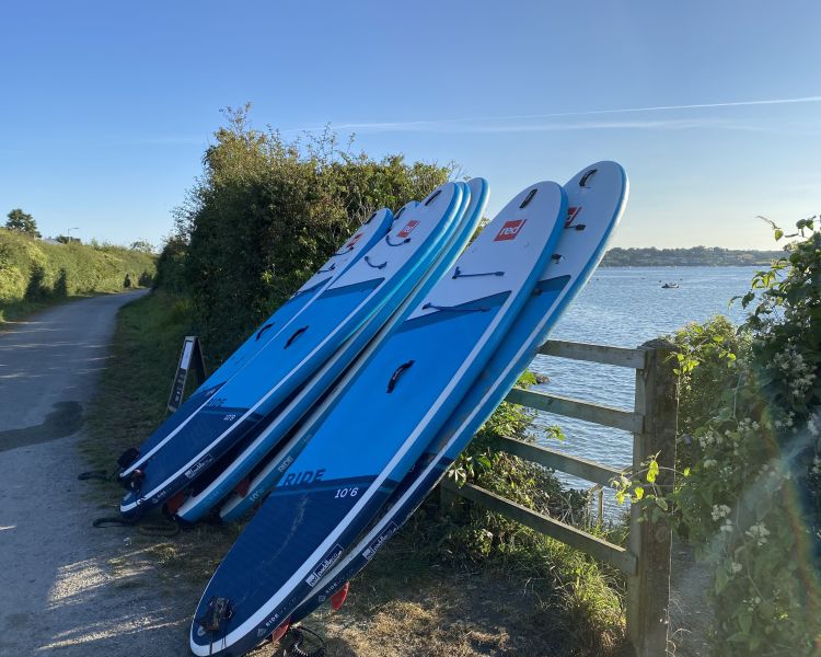 Surf boards leaning against fence