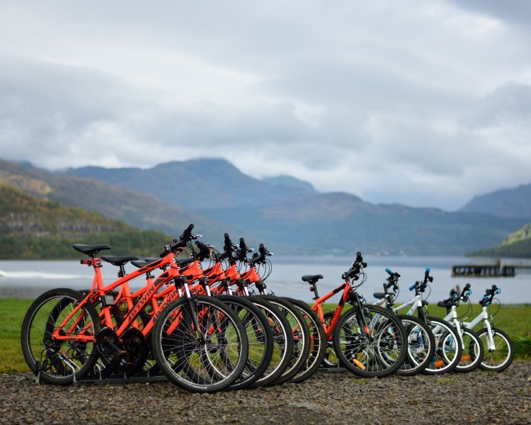 mountain bikes lined up in front of a lake surrounded by mountains in the distance