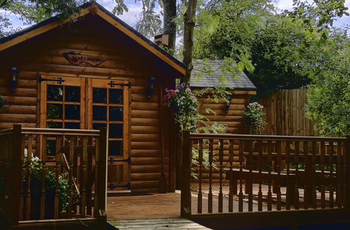 bears house wooden cabin surrounded by trees for glamping experience