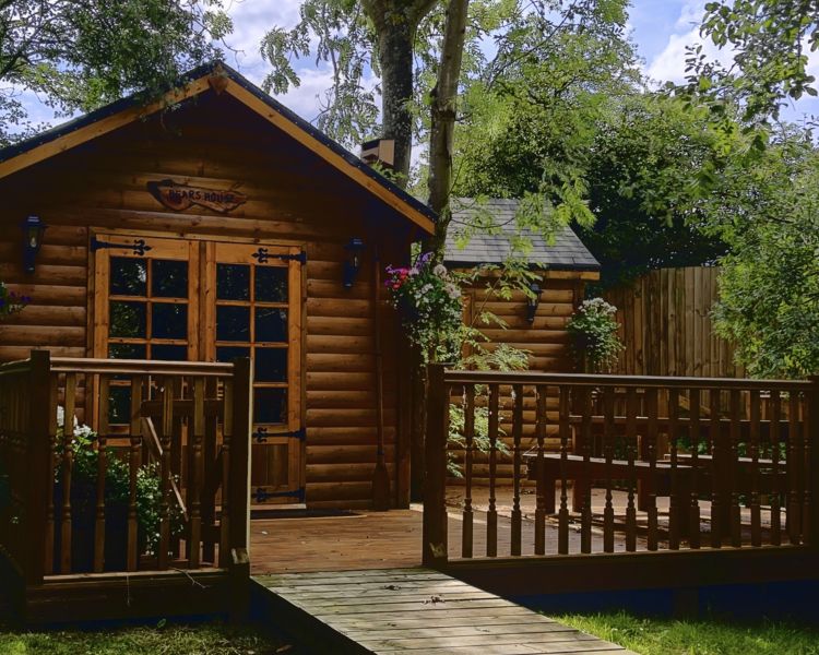 bears house wooden cabin surrounded by trees for glamping experience