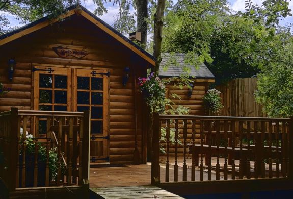 bears house wooden cabin surrounded by trees for glamping experience