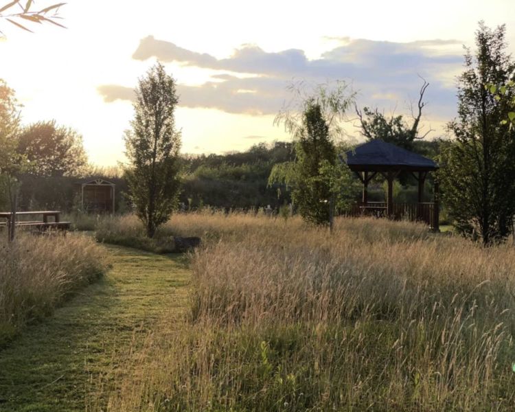 the gardens of a glamping site in cambridgeshire