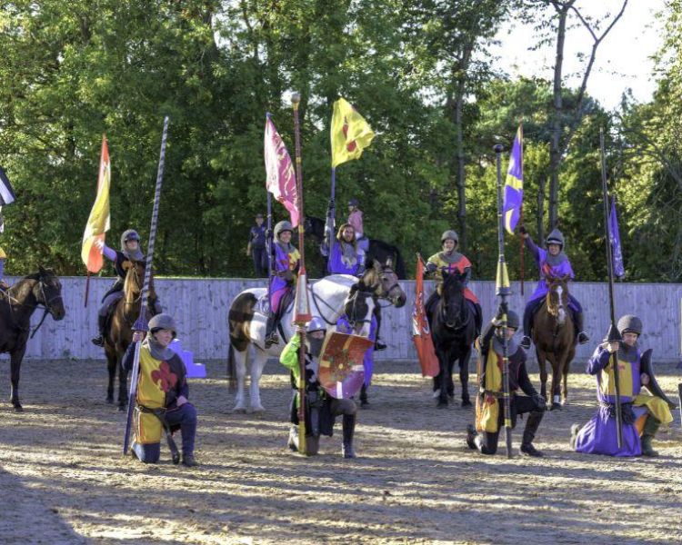 people on horseback dressed as medieval knights on a jousting experience