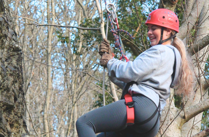 woman hanging in the trees on an abseiling experience in wales