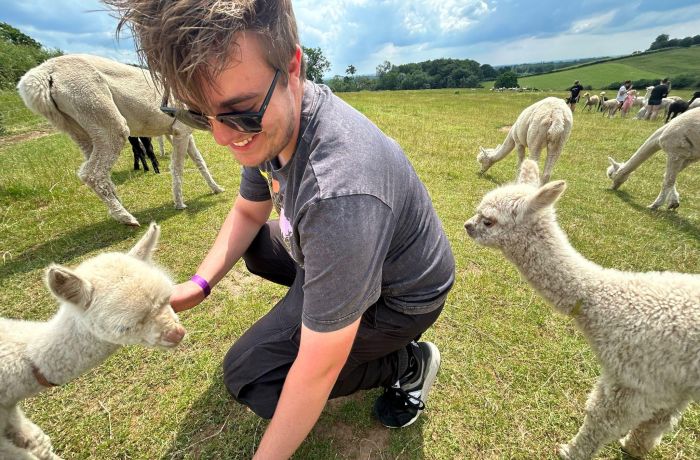 young man in a field with baby alpacas on a cria watch experience