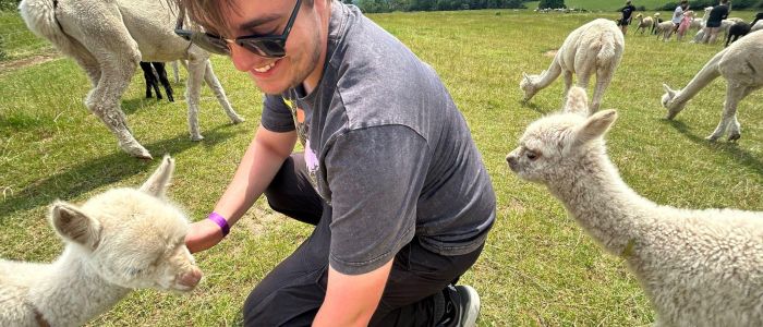 young man in a field with baby alpacas on a cria watch experience