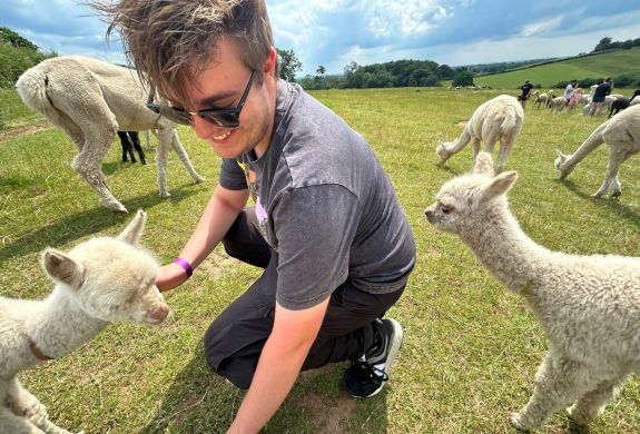 young man in a field with baby alpacas on a cria watch experience