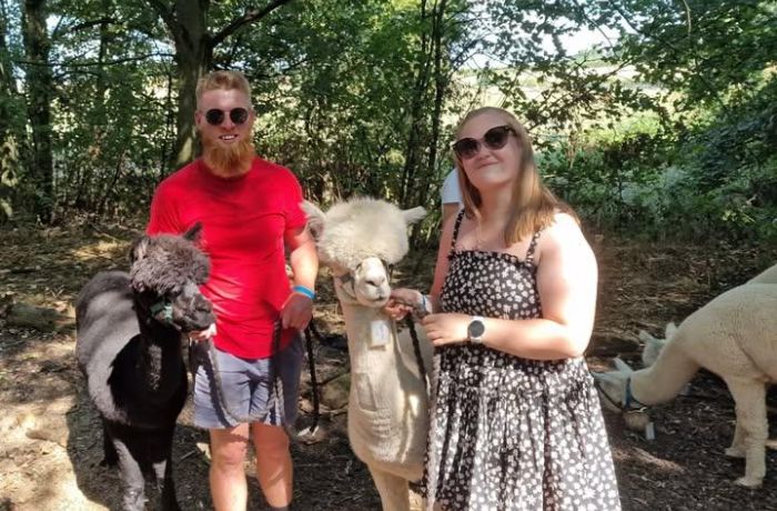 man and a woman standing next to alpacas on an alpaca walk experience