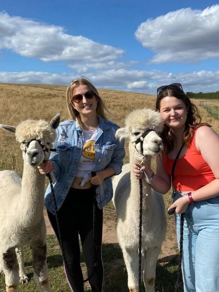 two women standing next to alpacas on an alpaca walk experience
