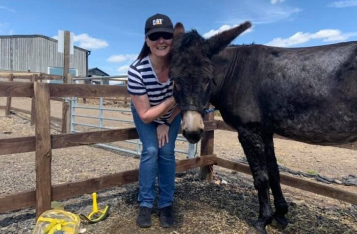 a woman standing next to a donkey on a donkey grooming experience
