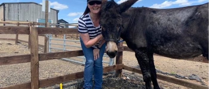 a woman standing next to a donkey on a donkey grooming experience