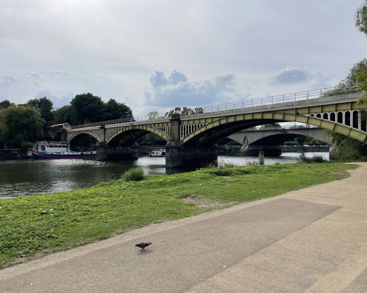 Bridges in richmond seen on a ted lasso walking tour in london