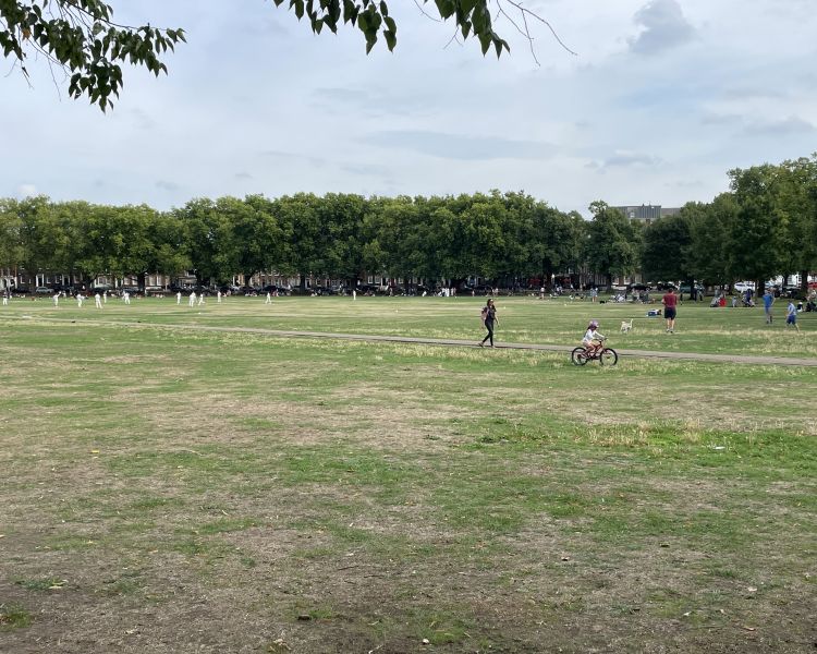 Richmond green seen on a ted lasso walking tour in london