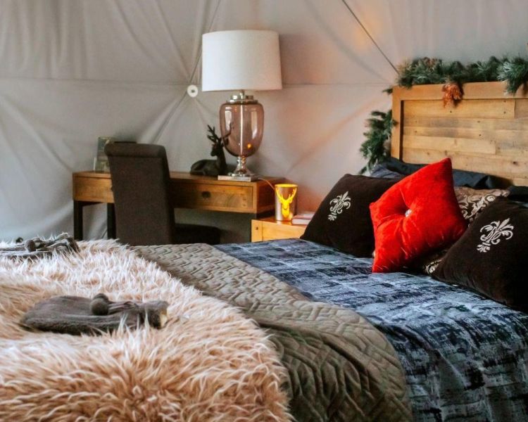 Cosy bed inside star dome