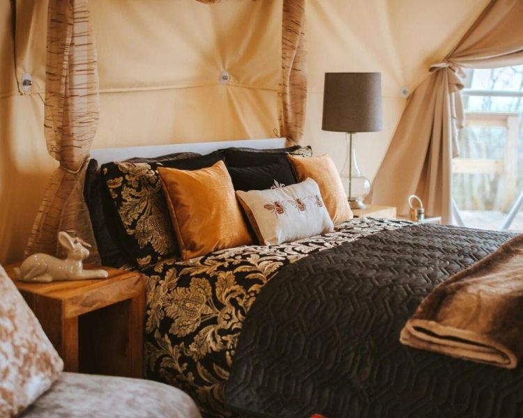 Bed inside tree dome
