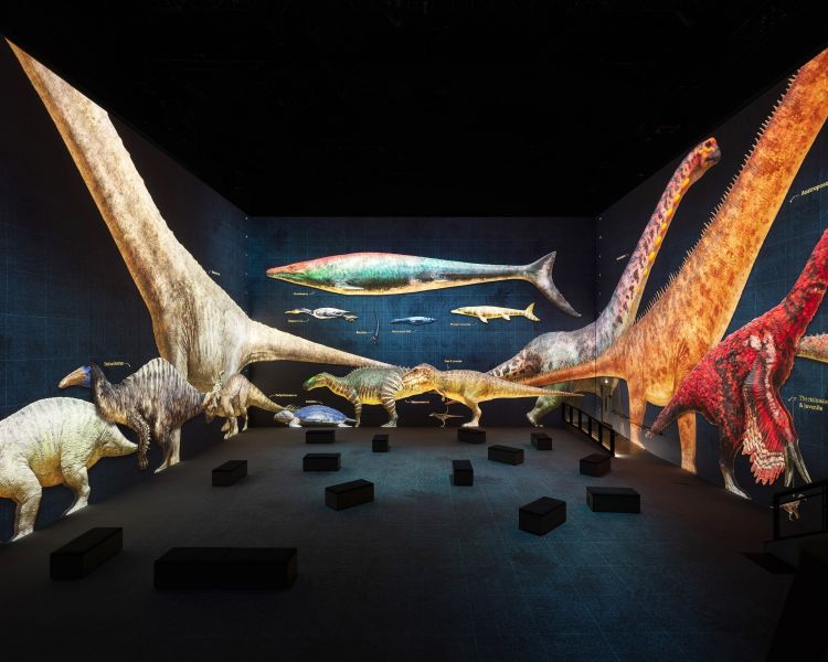 Prehistoric exhibition at lightroom london