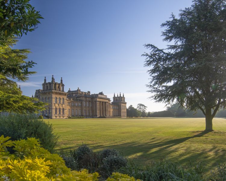 the exterior of blenheim palace in the summer