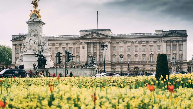 view of the front of buckingham palace in london