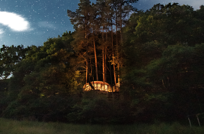 a treehouse in the woods in wales glowing bright at night